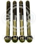 ELRING Set surub, chiulasa ELRING 258.610 (258.610)