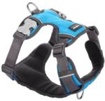 Red Dingo Padded dog hám Turquoise Small