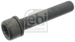 Febi Bilstein Surub, etrier FEBI BILSTEIN 48817 (48817) - automobilus