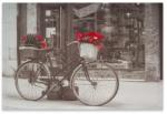 Divero Falikép Bike & Star 40 x 60 cm - kokiskashop