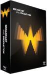 Waves Broadcast & Production