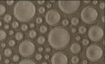Settimo Leather Roundels 2 (AR0168)