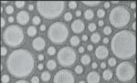 Settimo Leather Roundels 1 (AR0167)