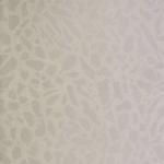 Settimo Fade (PT025)