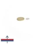 Magneo Smart Magnet neodim disc 12 x 1 mm