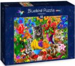 Bluebird Puzzle Kitten Fun 100 db-os (70393)