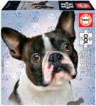 Educa French Bulldog 100 db-os (18802)