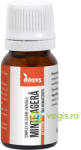Zanna Complex de Uleiuri Esentiale Minte Agera 10ml