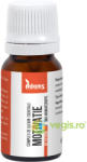 Zanna Complex de Uleiuri Esentiale Motivatie 10ml