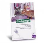 Bayer Advantage Pisica/Iepure 80 Peste 4 Kg 1 Pipeta