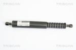 TRISCAN Amortizor portbagaj TRISCAN 8710 29264 (8710 29264) - automobilus
