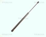TRISCAN Amortizor portbagaj TRISCAN 8710 17205 (8710 17205) - automobilus
