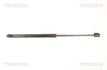 TRISCAN Amortizor capota TRISCAN 8710 43102 (8710 43102) - automobilus