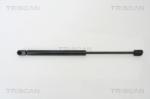 TRISCAN Amortizor capota TRISCAN 8710 29123 - automobilus