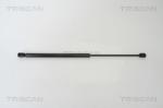 TRISCAN Amortizor capota TRISCAN 8710 24105 (8710 24105) - automobilus