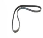 NIPPARTS Curea transmisie cu caneluri NIPPARTS J1050870 (J1050870) - automobilus