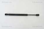 TRISCAN Amortizor portbagaj TRISCAN 8710 29260 (8710 29260) - automobilus