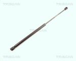 TRISCAN Amortizor portbagaj TRISCAN 8710 16230 - automobilus