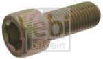 Febi Bilstein Surub fulie FEBI BILSTEIN 01202 (01202)