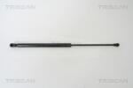 TRISCAN Amortizor portbagaj TRISCAN 8710 29266 (8710 29266) - automobilus
