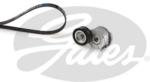 GATES Set curea transmisie cu caneluri GATES Micro-V® K046PK1245 (K046PK1245)