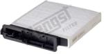 Hengst Filter Filtru, aer habitaclu HENGST FILTER E2905LI (E2905LI)