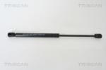 TRISCAN Amortizor portbagaj TRISCAN 8710 29271 (8710 29271) - automobilus