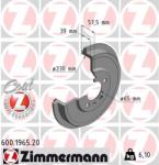 ZIMMERMANN Tambur frana ZIMMERMANN COAT Z 600.1965. 20 (600.1965.20)
