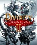 Larian Studios Divinity Original Sin II (PC)