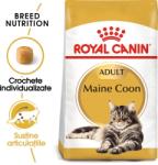Royal Canin Maine Coon Adult 20 kg (2 x 10 kg) hrană uscată pentru pisici adulte Maine Coon