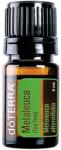 dōTERRA Ulei Esential Melaleuca (Arbore de ceai), 5 ml, DōTerra