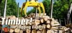 UniqueGames Timber! The Logging Experts (PC)
