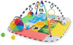 Bright Starts Salteluta de activitati 5 in 1 Ball Pit Baby Einstein (12573)