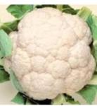 VERITAS-AGRO Telergy F1 (CMS) Karfiol vetőmag 2500 szem