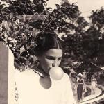 She Keeps Bees Eight Houses - facethemusic - 7 290 Ft