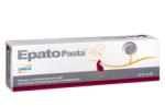 Epato Pasta Epato Plus 2 x 15 ml