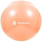 Spokey Minge FITBALL Springos 55 cm Minge fitness