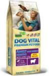 DOG VITAL Adult Maxi Breeds Sensitive Lamb (2 x 12 kg) 24 kg