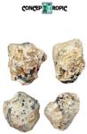  Opal Brandy Natural Brut - 36-46 x 28-36 mm - ( XL ) - 1 Buc