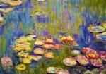 Bluebird Puzzle - Puzzle Claude Monet: Nymphéas - 1 000 piese Puzzle