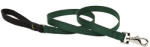 Lupine Pet póráz (Zöld 1, 9 cm széles 122 cm) (MSD37507)