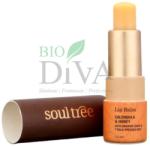 Soul Tree Balsam de buze ayurvedic cu gălbenele Soultree 35-g