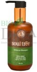 SoulTree Șampon ayurvedic cu hibiskus și miere Soultree 250-ml