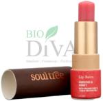 Soul Tree Balsam de buze ayurvedic cu hibiskus Soultree 35-g