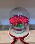 ImodFlowers Aranjament floral cupola trandafiri criogenati
