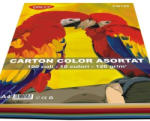 DACO Carton Color Daco CN120, A4, 100 coli, 10 culori, 120 g/mp (CN120)