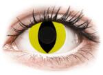 Gelflex CRAZY LENS - Cat Eye Yellow - dioptria nélkül napi lencsék (2 db lencse) - lencsebolt