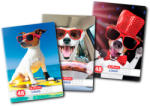 Herlitz Caiet Herlitz A5, 48 file, 70 g/mp, matematica, colturi rotunjite, Motiv cool dog (9480650)