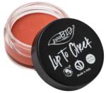 puroBIO cosmetics Tind pentru buze și obraji - PuroBio Cosmetics Lip to Cheek 01 - Carrot