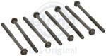 ELRING Set surub, chiulasa ELRING 258.920 (258.920)